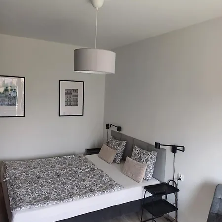 Spij W Kudowie Apartament I Pokoje Goscinne Kudowa-Zdrój Exterior foto