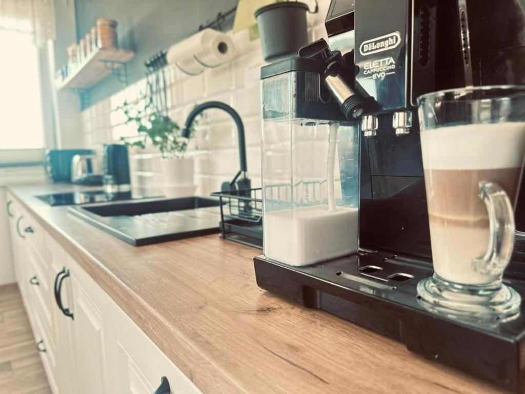 Spij W Kudowie I Goscinne Homestay Kudowa Zdroj